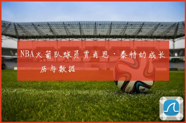 NBA火箭队球员贾肖恩·泰特的成长经历与数据