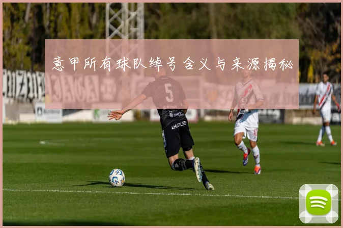 意甲所有球队绰号含义与来源揭秘